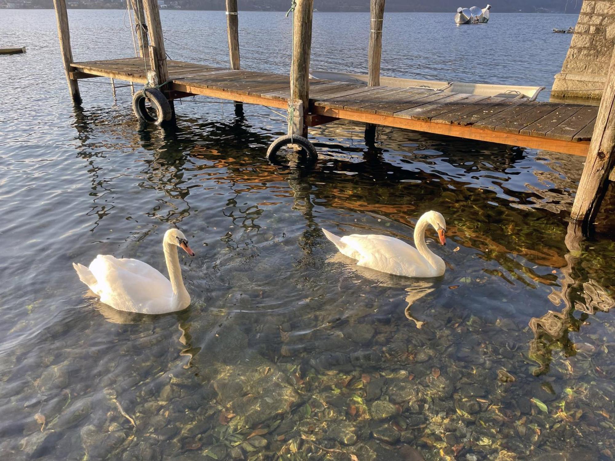 Appartamento Vacanze Al Lago ออร์ตาซันจูลิโอ ภายนอก รูปภาพ